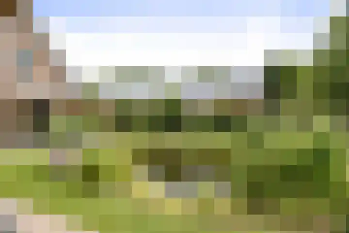 Toefmars 3 Diepenveen thumbnail 53