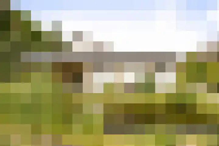 Toefmars 3 Diepenveen thumbnail 54