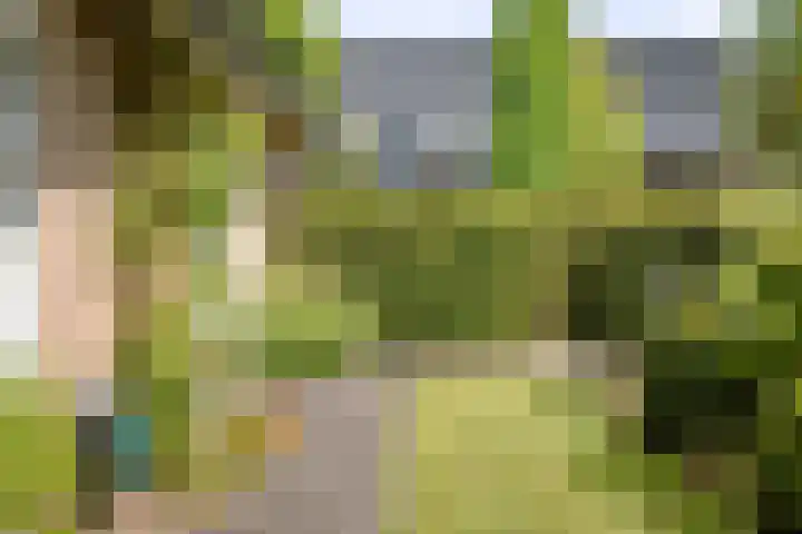 Toefmars 3 Diepenveen thumbnail 56