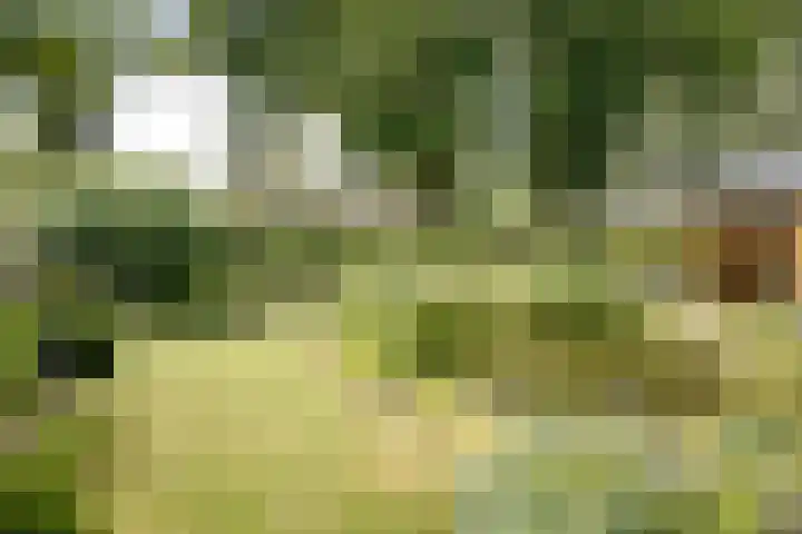Toefmars 3 Diepenveen thumbnail 57