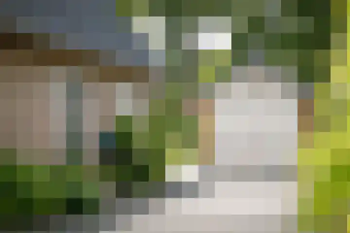 Toefmars 3 Diepenveen thumbnail 59