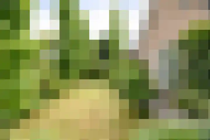 Toefmars 3 Diepenveen thumbnail 61