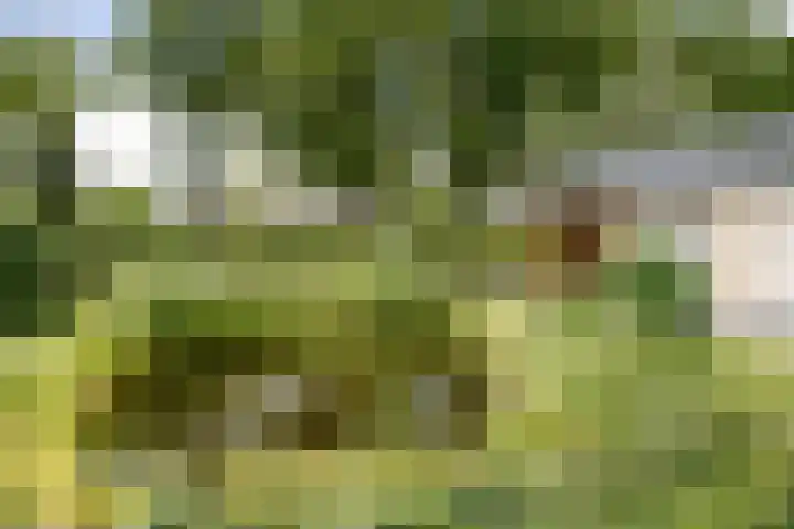 Toefmars 3 Diepenveen thumbnail 62