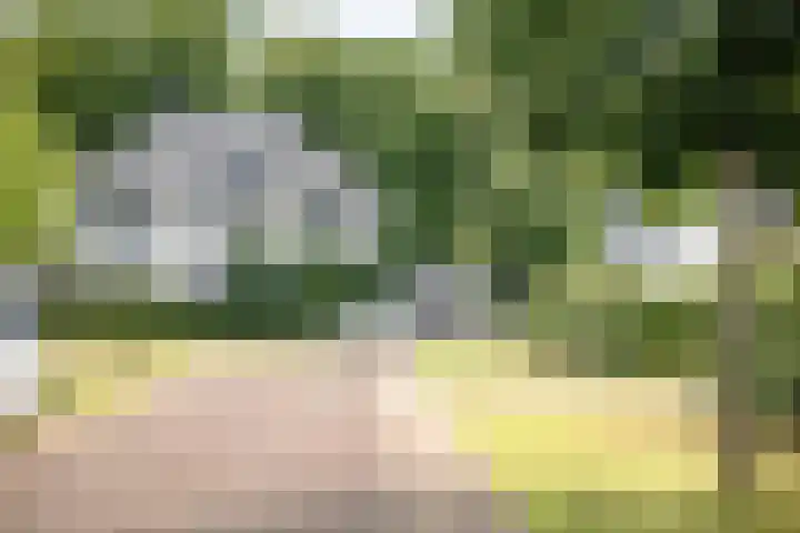 Toefmars 3 Diepenveen thumbnail 63