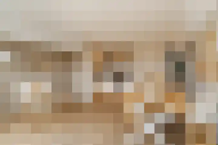 Toekomststraat 1 E Noordwijk thumbnail 12