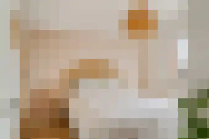 Toekomststraat 1 E Noordwijk thumbnail 16