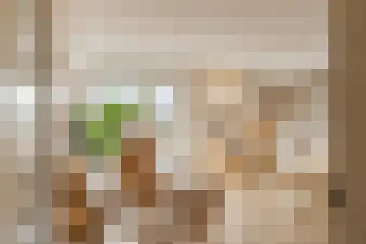 Toekomststraat 1 E Noordwijk thumbnail 5