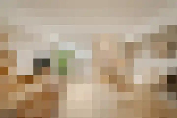Toekomststraat 1 E Noordwijk thumbnail 6