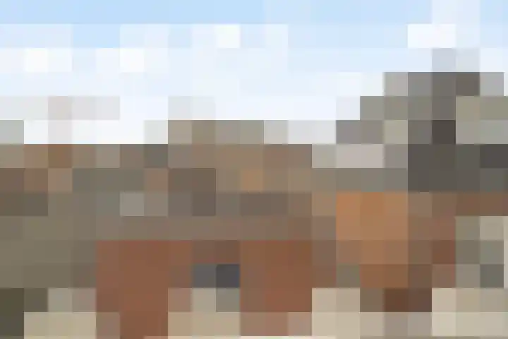Toekomststraat 1 E Noordwijk thumbnail 9