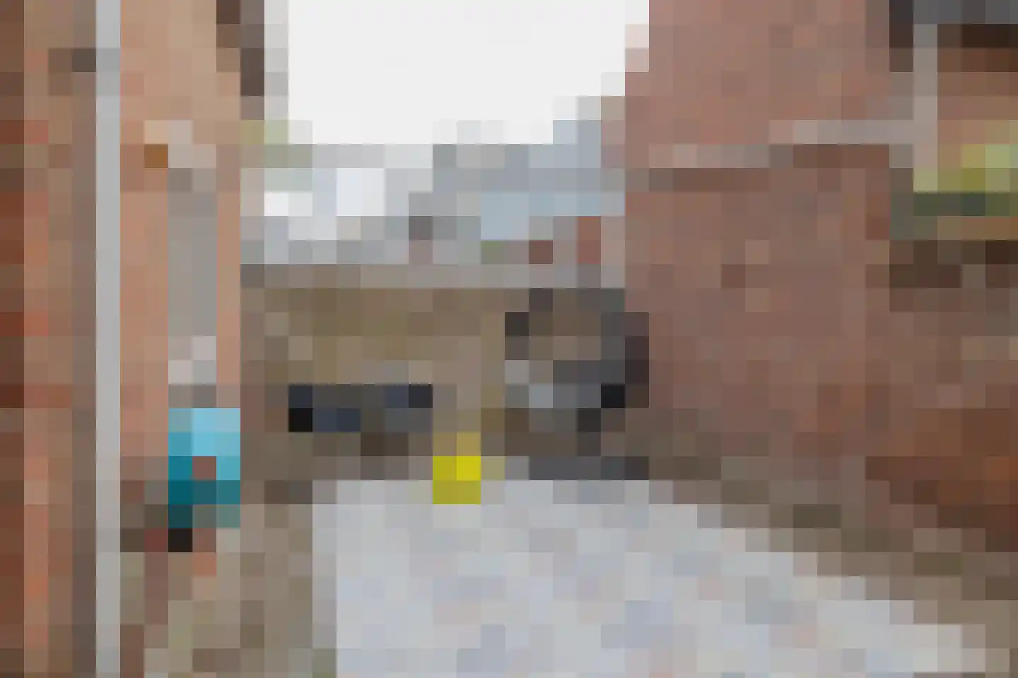 Toekomststraat 10 Noordwijk thumbnail 19