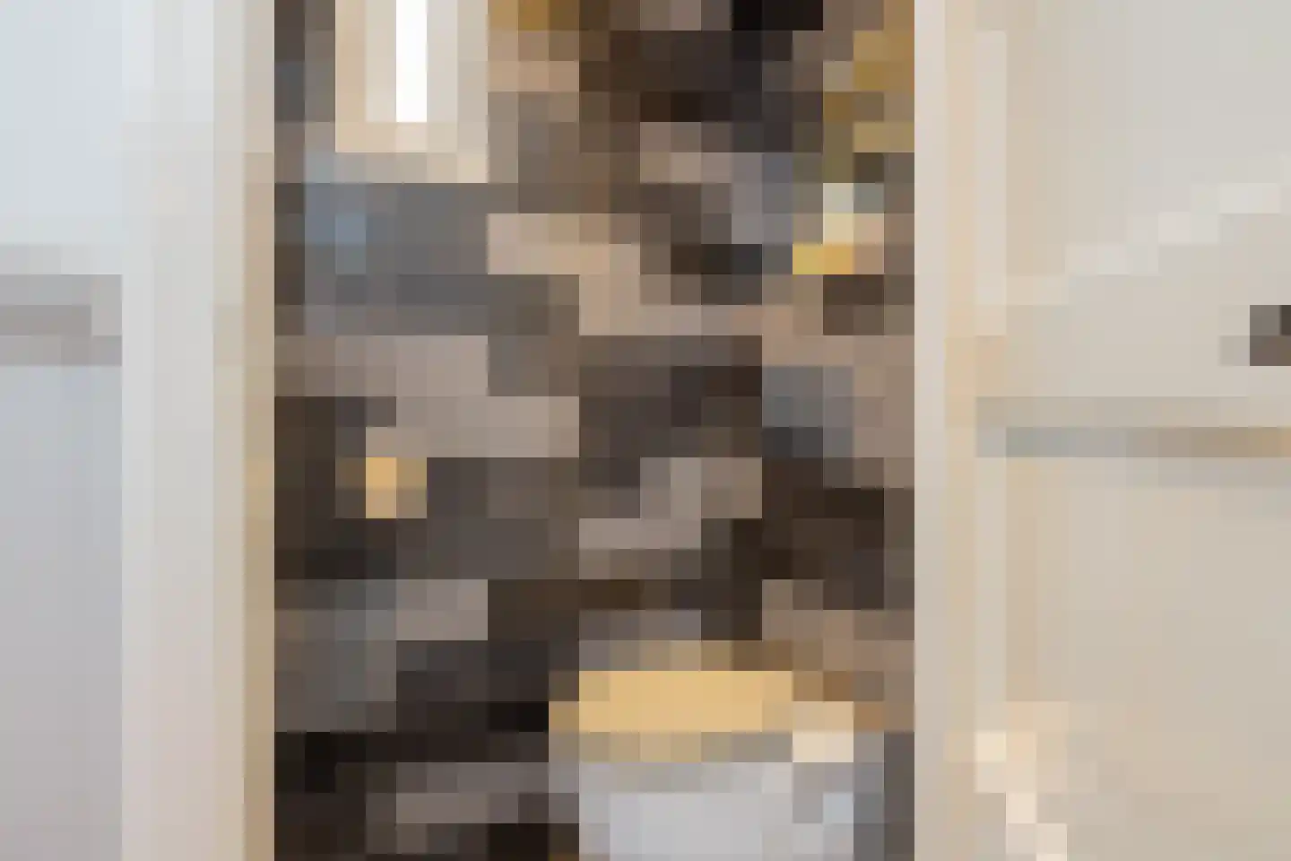 Toekomststraat 10 Noordwijk thumbnail 8