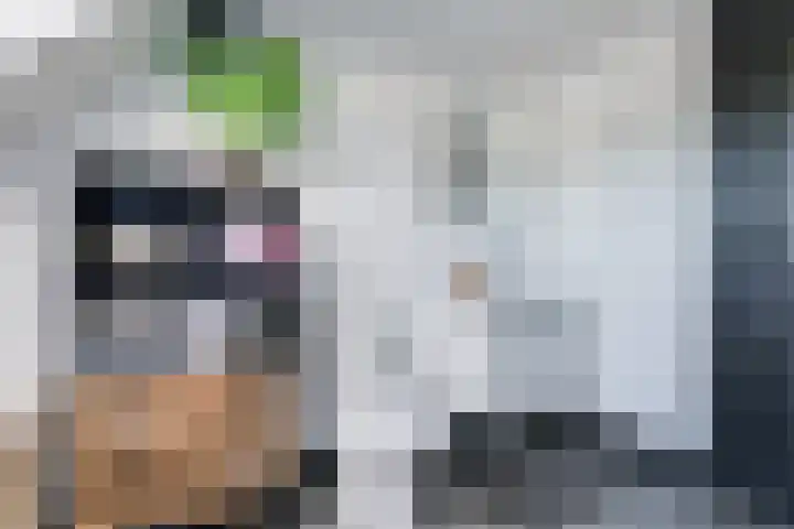 Toekomstweg 4 Gaanderen thumbnail 29