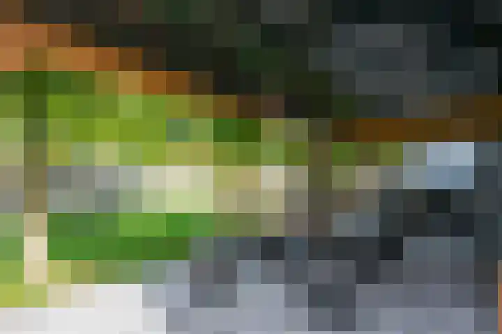 Toekomstweg 4 Gaanderen thumbnail 46