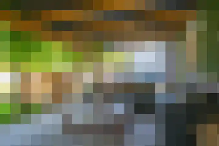 Toekomstweg 4 Gaanderen thumbnail 49