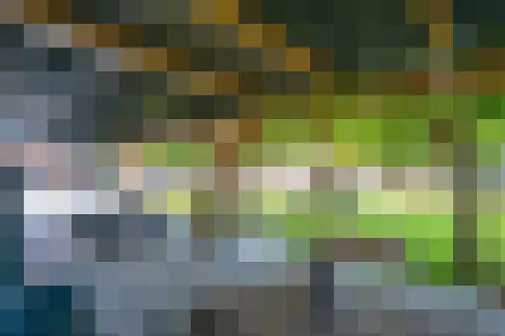 Toekomstweg 4 Gaanderen thumbnail 50