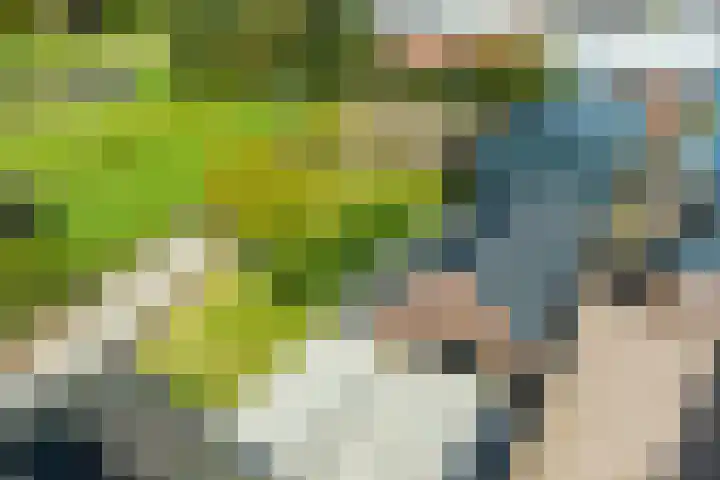 Toekomstweg 4 Gaanderen thumbnail 61