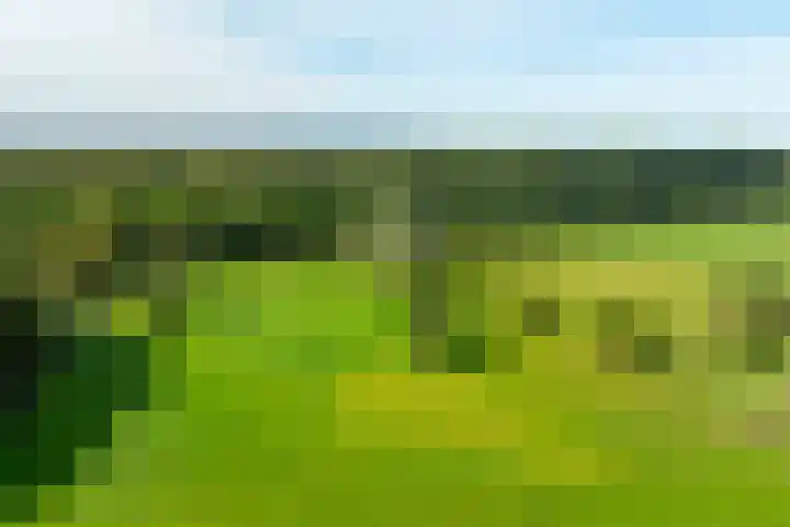 Toekomstweg 4 Gaanderen thumbnail 74
