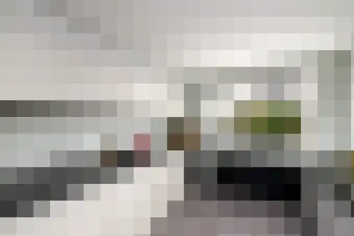 Toellân 15 Heerenveen thumbnail 12