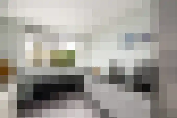 Toellân 15 Heerenveen thumbnail 13