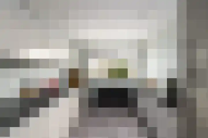 Toellân 15 Heerenveen thumbnail 14