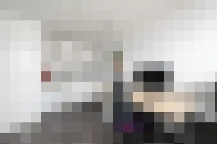 Toellân 15 Heerenveen thumbnail 17