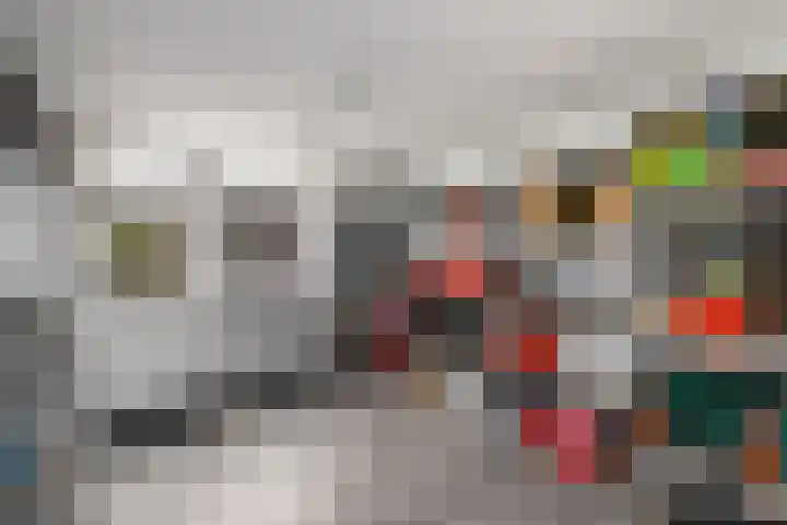 Toellân 15 Heerenveen thumbnail 18