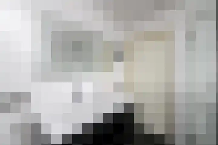 Toellân 15 Heerenveen thumbnail 28
