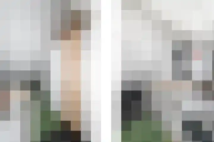 Toellân 15 Heerenveen thumbnail 30