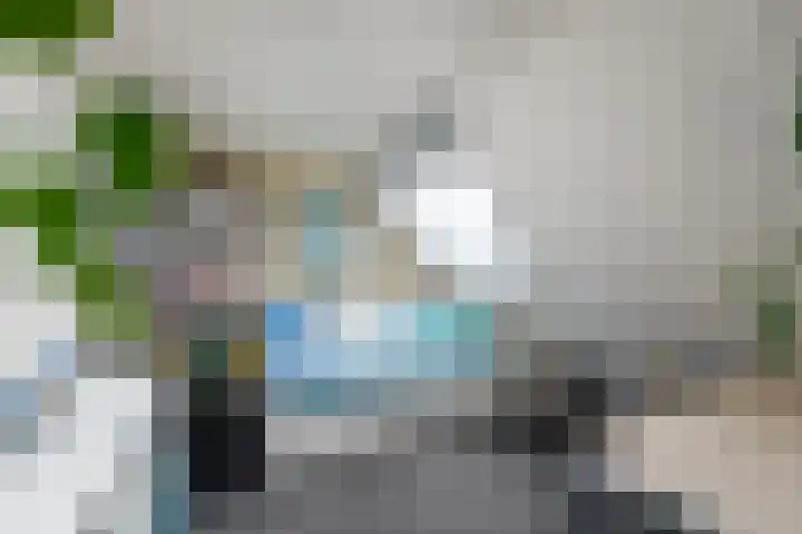 Toellân 15 Heerenveen thumbnail 31