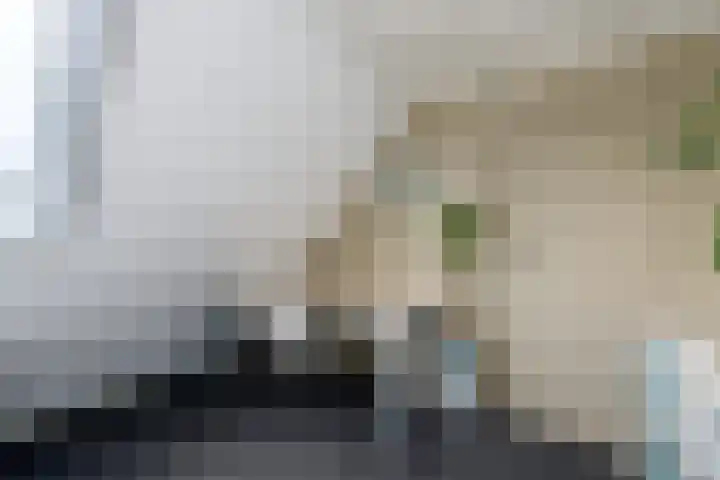 Toellân 15 Heerenveen thumbnail 32