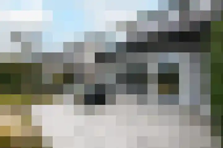Toellân 15 Heerenveen thumbnail 34