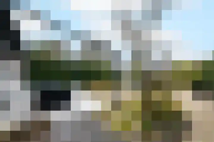 Toellân 15 Heerenveen thumbnail 35