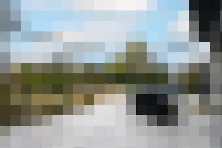 Toellân 15 Heerenveen thumbnail 36