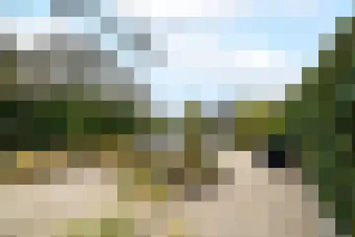 Toellân 15 Heerenveen thumbnail 37