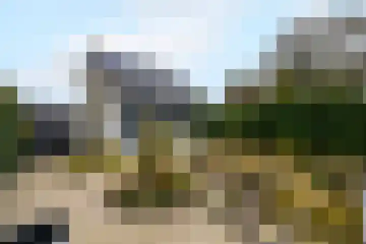 Toellân 15 Heerenveen thumbnail 38
