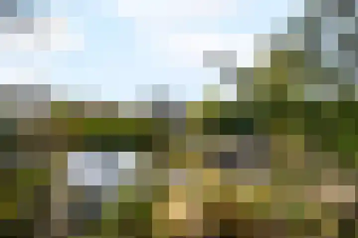 Toellân 15 Heerenveen thumbnail 39