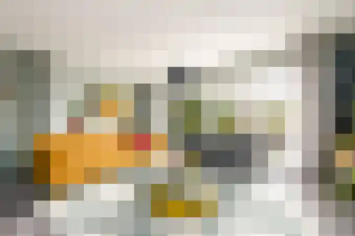 Toellân 15 Heerenveen thumbnail 4