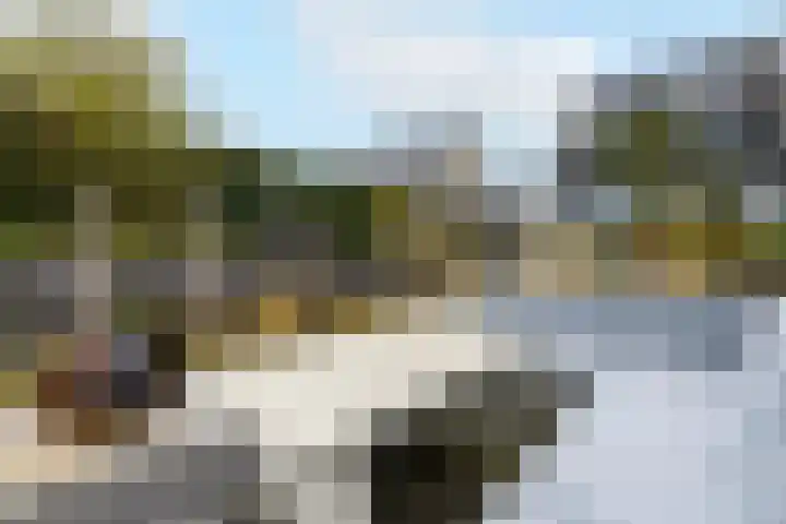 Toellân 15 Heerenveen thumbnail 40