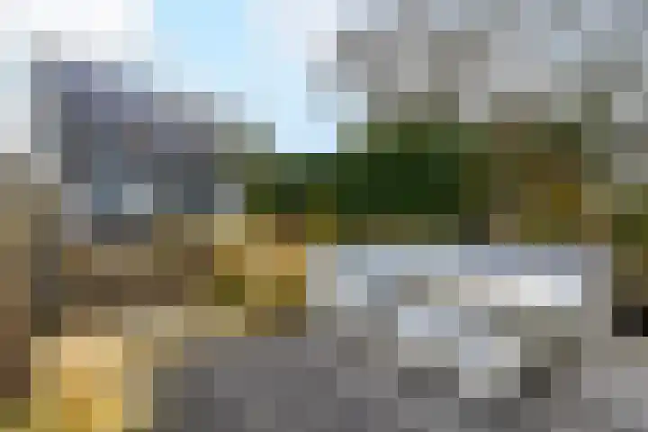 Toellân 15 Heerenveen thumbnail 41