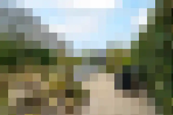 Toellân 15 Heerenveen thumbnail 42