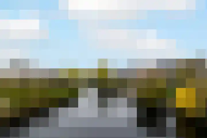 Toellân 15 Heerenveen thumbnail 43