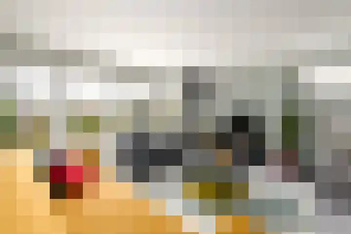Toellân 15 Heerenveen thumbnail 5