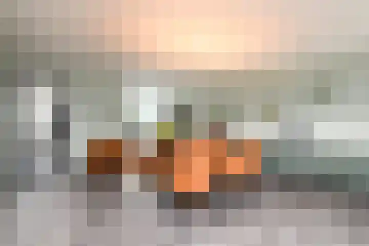 Toellân 15 Heerenveen thumbnail 9