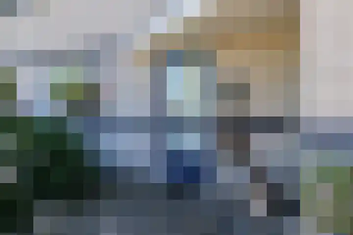 Toellân 3 Heerenveen thumbnail 11