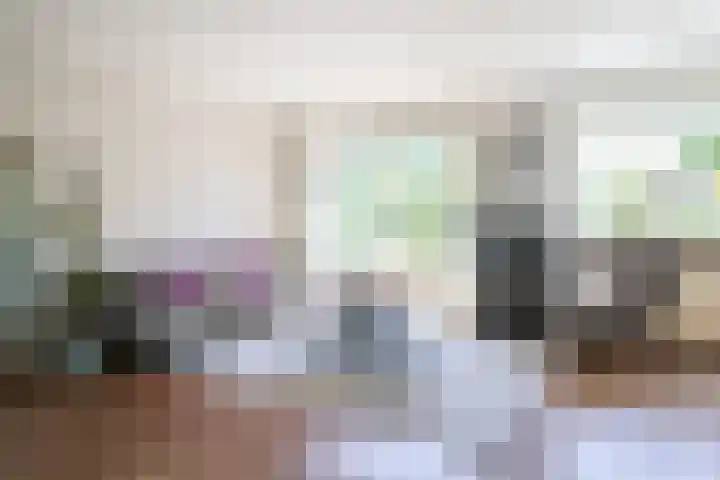 Toellân 3 Heerenveen thumbnail 14