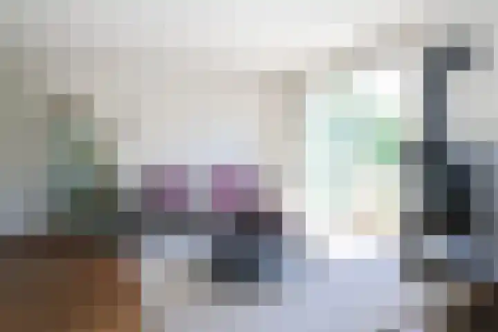 Toellân 3 Heerenveen thumbnail 15