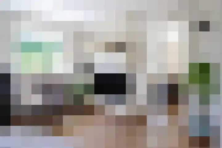Toellân 3 Heerenveen thumbnail 22