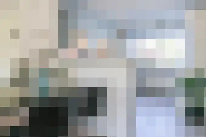 Toellân 3 Heerenveen thumbnail 26