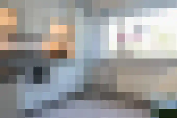 Toellân 3 Heerenveen thumbnail 27