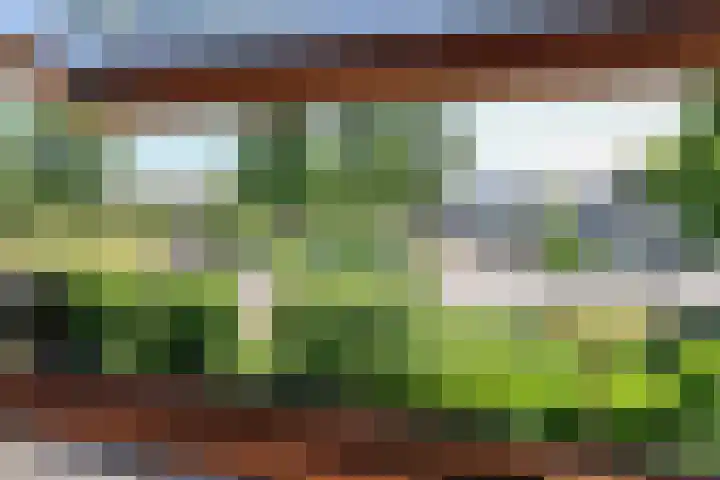 Toellân 3 Heerenveen thumbnail 36